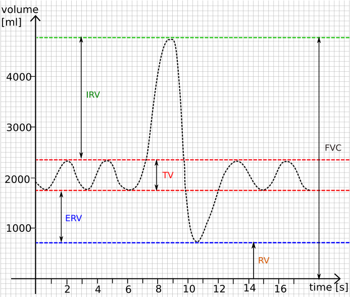 Spirometry curve